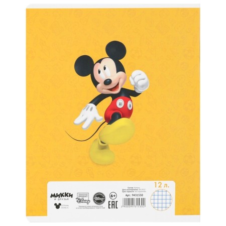 A set of notebooks 20 pieces, 12 sheets, Mickey Mouse-10