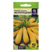 Semen zucchini 