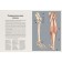 Anatomikum. Pakston D.