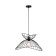 Suspended indigo, 10012/b/1p Black. 1x40W, E27, 450x450x285/1790 mm, black color