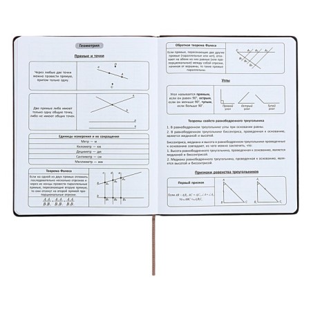 Universal diary for grades 1-11 "Geometry", solid cover of artificial leather, silkography, lies, 48 ​​sheets, brown-turquoise-8