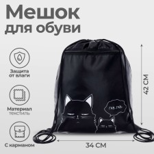 A bag for shoes with a pocket of 420 x 340 mm, calligrata MSO-7C, (soft polyester, density 210D), Cats)