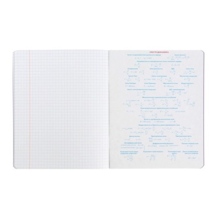 Subject notebook monocolor.element, 48 sheets in the “Physics” cage, covered cardboard, lamination of software touch, selective varnish, offset block 70 g/m2-4