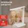 Desktop lamp ERA NLED-508, IP20, 7W, white