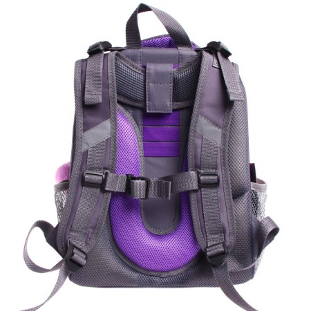 School backpack 38 x 30 x 16 cm, ergonomic back, stavia "kittens"-4