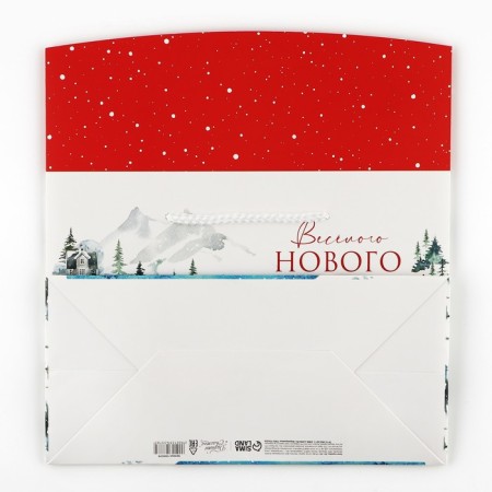 The package of the “Funny New Year”, 28 x 20 x 13 cm, New Year-5