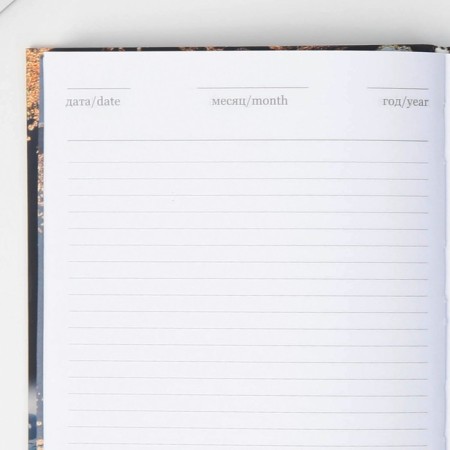 Diary "Creations of Russian Nature", A5, 96 sheets-5
