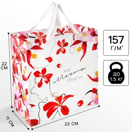 Gift package "Dreams will come true" 22x22x11 cm, packaging, princesses