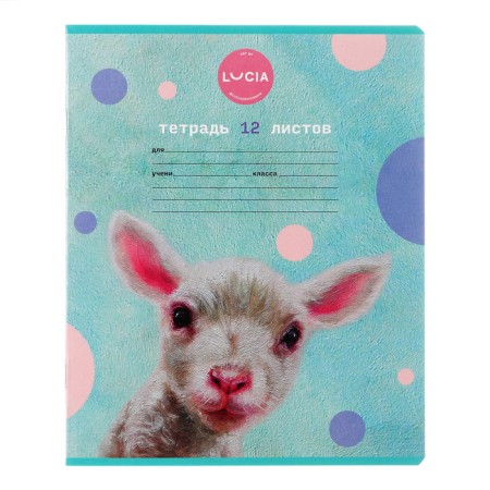 Notebook 12 sheets in the cage "Learn yourself!", Cover coated cardboard, block 65 g/m2, mix-5