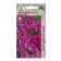 Seeds Evenstail Matron Raspberry 0.3g*