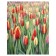 Pillow Golk "Tulip paradise, decorative, size 16x45 cm