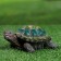 Garden figure "Turtle" 6x10x12cm mix