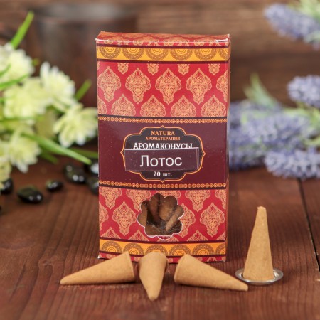 Incense "Natura" 20 cones with a stand Lotus