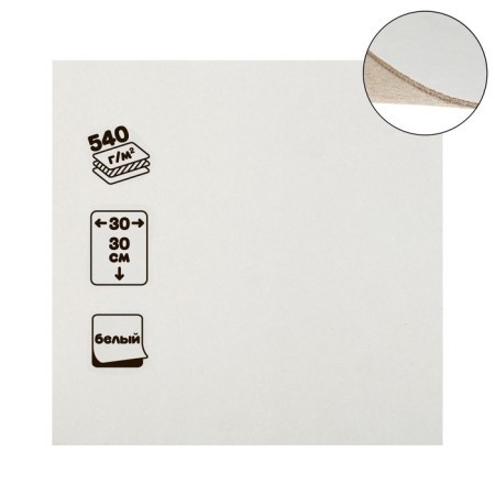 Binding cardboard (shelter) 0.9 mm, 30 x 30 cm, 540 g/m2, white