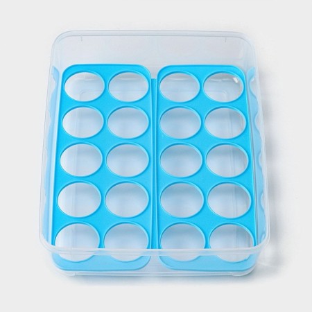 Egg storage container, 20 cells, 27.5 × 22 × 7 cm, color mix-8