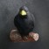 Suspension decor "Raven on the branch" 19x21cm