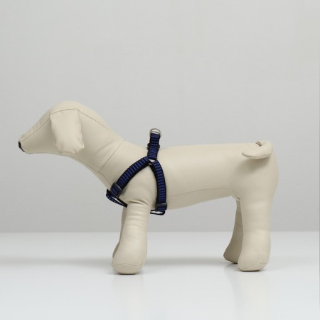 Relief harness 36-49 x 1.5 cm, blue-hourly-2