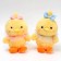 Soft toy "Tsypa", Mix colors