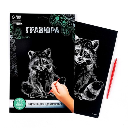 Engraving on the “raccoon” substrate with the metallic effect “silver” A4-1