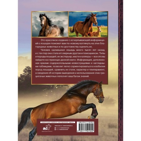 Big Encyclopedia. Horses. Spector A.A.-1