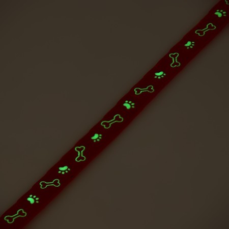 Fly collar "paw" luminous, with a bell and suspension, 30 x 1 cm, polyester, red 1067108-7