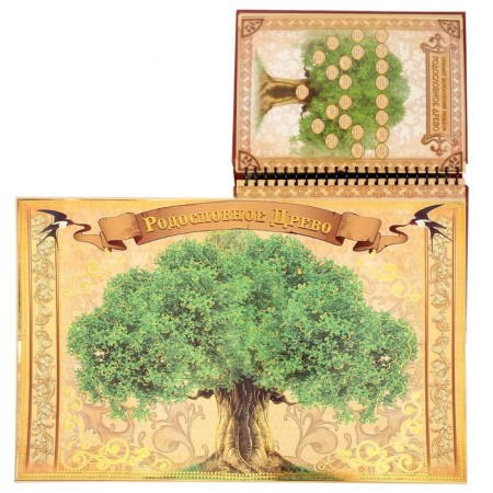 The genealogy book "Family History", 30 sheets, 24.5 x 29.2 cm-7