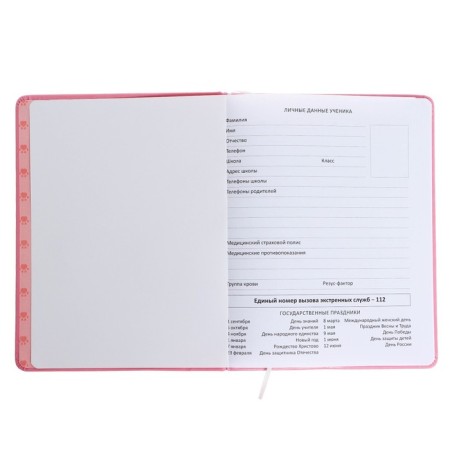Universal diary for grade 1-11 "muzzle. Kotik", solid cover, artificial leather, foam rubber, liesa, 80 g/m2-3