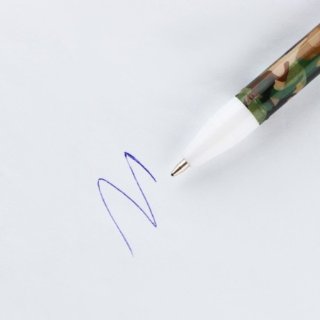 Questionnaire for boys and pen "February 23: Cat"-2