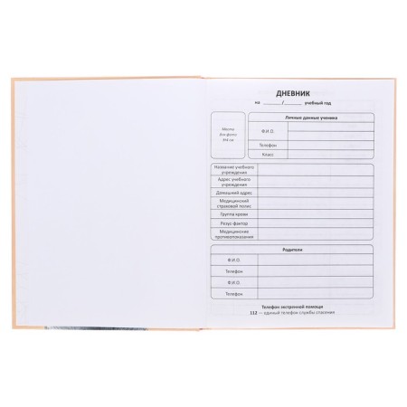 Diary solid cover 1-11 grades 48 sheets, "sprout", cardboard cover 7BC, glossy lamination, cheat sheet-3
