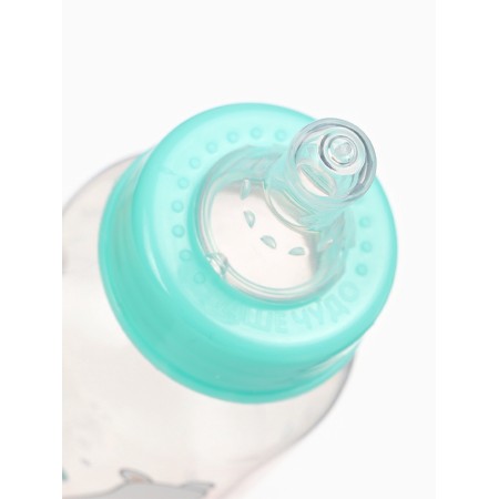 A bottle of feeding “Bear Basic”, classic throat, 150 ml., 0 months, white/turquoise color-5