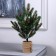 LED bush "Malaya" 35 cm, 30 LED, AAX3 batteries (not included), glow warm white
