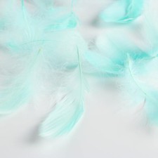 Filler of feathers for balls and gifts, packaging, “dreams”, 15 x 11 cm