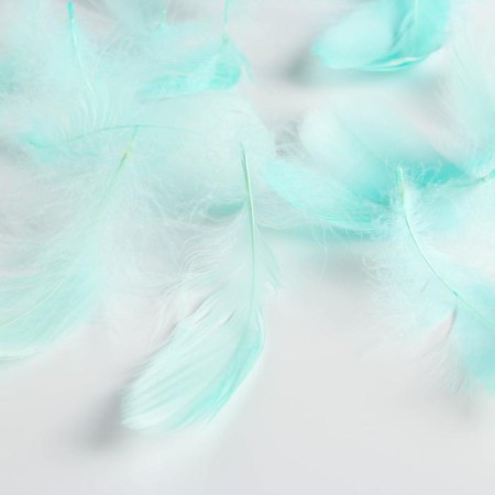 Filler of feathers for balls and gifts, packaging, “dreams”, 15 x 11 cm