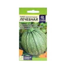 Seeds of Pumpkin 