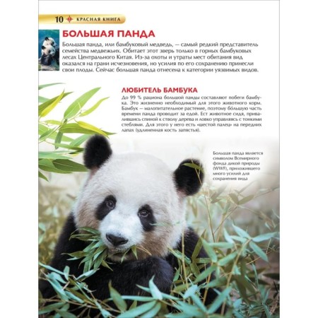 Children's Encyclopedia. Red Book-4