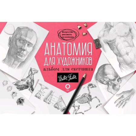 Anatomy for artists. Album for sketching