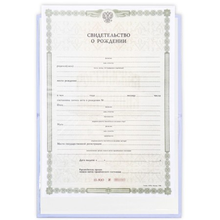 Folder for the birth certificate "Our Miracle", Bunny, A5-5