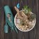 Set of garden tools, 4 items, plastic