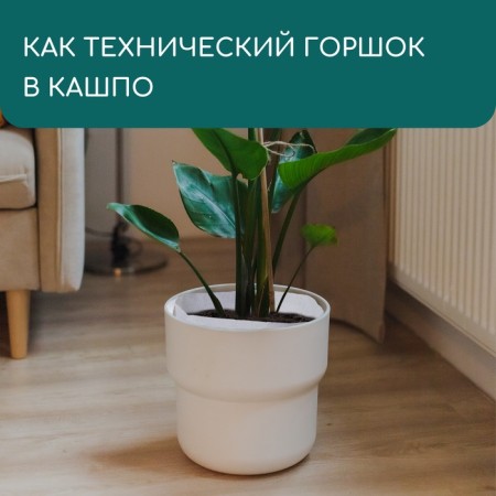 Container with handles, 22 × 20 cm, density 130 g/m², Greengo-6