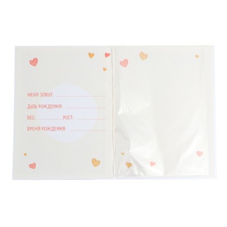 The folder for the birth certificate "Bear", 23.5 x 31.5 cm.-3