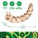 Wooden designer Drovo "Tutta caterpillar"