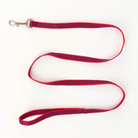 Acunition set is embossed, leash 120 x 1.5 cm, OG 36-49 cm, red-blue-5