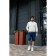 Male ISee shorts, size 44, blue color