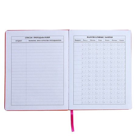 Universal Diary Grade 1-11, 48 sheets "Orange", solid cover of artificial leather, foil embossing-12