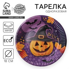 Disposable paper plate 