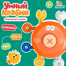 Developing toy 