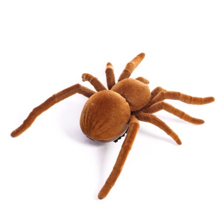 Tarantula bug, works from batteries-2