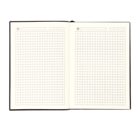 The diary is low, the A6+format, 116 sheets, cage, brown light, tonov cut-6