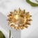 Sunflower Book-Coumon, a gray-golden color in gold