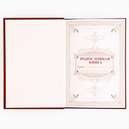 Подарочный набор родословная книга в шкатулке «Дед мороз»-10